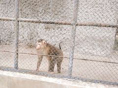 -哈尔滨北方森林动物园