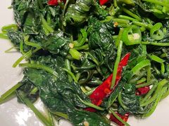 -红辣椒·川菜·火锅(张杨路店)