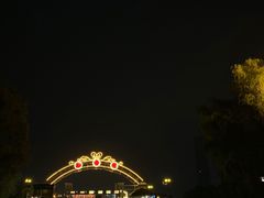 -武汉知音号