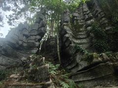 -梭布垭石林景区