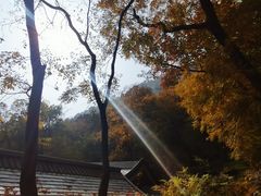 -北京上方山国家森林公园