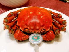 -东方明珠老上海8号餐厅
