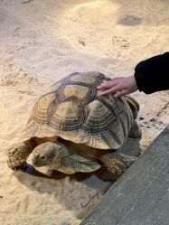 -Zoolung Zoolung动物主题公园(海信广场店)