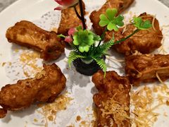 -朱记乳鸽王·非遗石岐乳鸽·全鸽宴(大兴旗舰店)