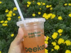 -peekoo coffee(尚嘉中心店)