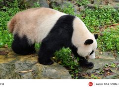 -广州长隆野生动物世界