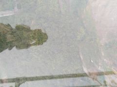 玻璃桥-玻璃桥景区石牛寨