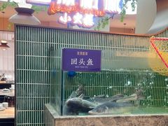 -鱼你相聚·河鲜馆(袁家岭店)