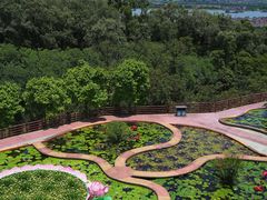 -广州莲花山旅游区