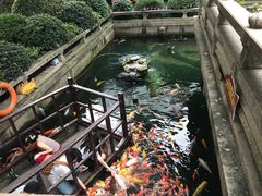 -枫桥景区