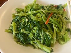 -顺德了能馆(虎门店)