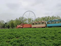 -祥源·阜阳生态乐园