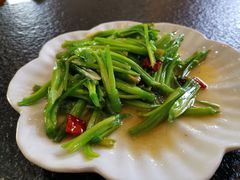 清炒海菜-海韵人家.海景花园经典云南菜(双廊店)