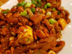 -老号尤兔头(幸福店)