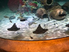 -沈阳海洋探索中心