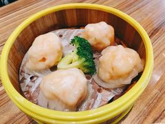 粤港虾饺皇-粤港餐厅(禹州商业广场店)