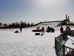 -绿野森林乐园冰雪季