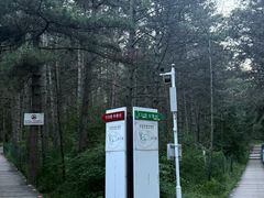 -帽儿山国家森林公园