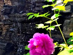 -太阳宫公园