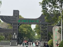 -溱湖国家湿地公园