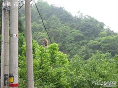 -安吉龙王山风景区