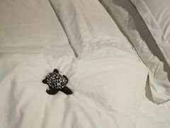 -上海外滩悦榕庄酒店