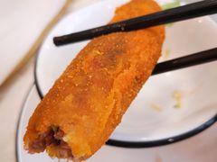 -丁老爷子苏香圆