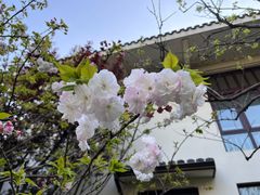 -湘湖金融镇
