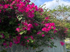 -石梅湾艾美度假酒店