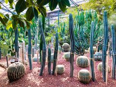 -呀路古热带植物园
