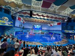 -多彩贵州城极地海洋世界