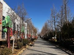 -南宫五洲植物乐园