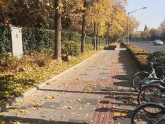 -四川大学(望江校区)