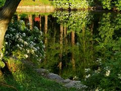 -上海共青森林公园