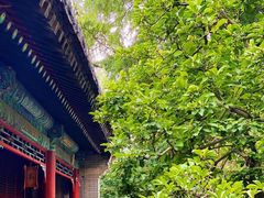 -潭柘寺景区