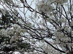 -香山公园