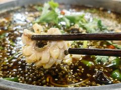 椒麻味乌鱼花-重庆乌鱼庄·龙滋鲜(青羊大道店)