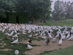 -南通洲际绿博园