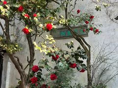 -西园戒幢律寺