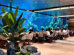 -驻海渔市(置信店)