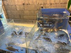 -大中华酒楼·主席武昌鱼·武汉美食地标(江汉路步行街店)