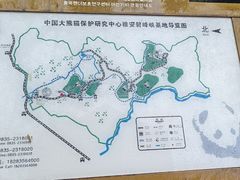 -中国大熊猫保护研究中心雅安碧峰峡基地