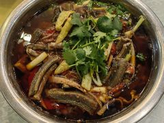 -高坎一品甲鱼庄(两河店)