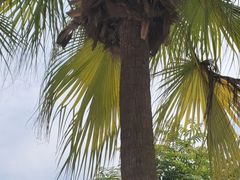 -重庆海昌加勒比海水世界