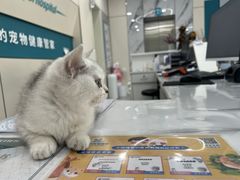 -小伙伴宠物医院·CT·骨科·眼科(高新店)