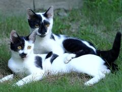 -徐小姐地锅鸡(铜山万达店)