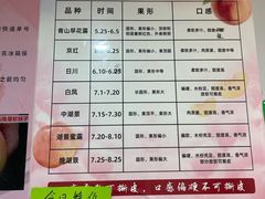 -老袁家蜜桃农场·阳山水蜜桃