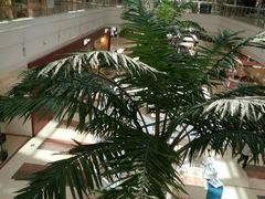 -大碗先生(株洲天虹店)