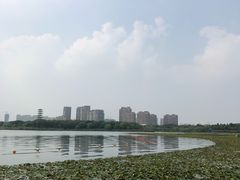 -暨阳湖生态园