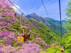 -秦岭终南山世界地质公园翠华山景区